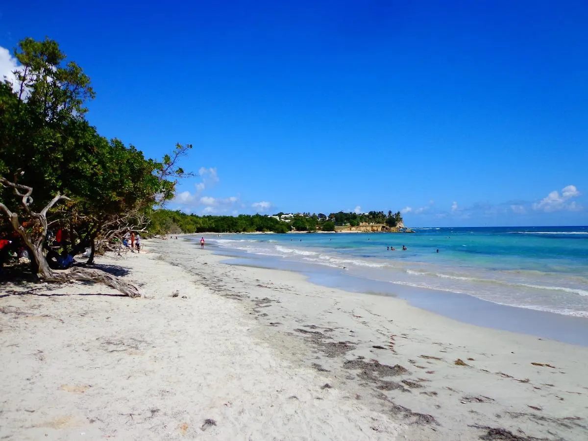 Le Studio Oncle Sam - Acces Piscine Et Plage Le Gosier  0*, Le Gosier (Grande-Terre) Guadeloupe
